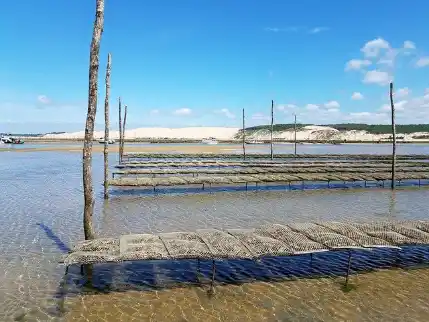 L’influence grandissante du Bassin d’Arcachon dans la région