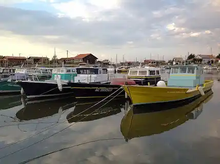 De l’excursion en bateau au va et vient sur terre : les différents moyens de transports à Arcachon